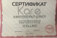 Плазмолифтинг Харьков - Spa салон LEO - Сертификат